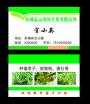 果林名片