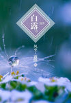 节气
