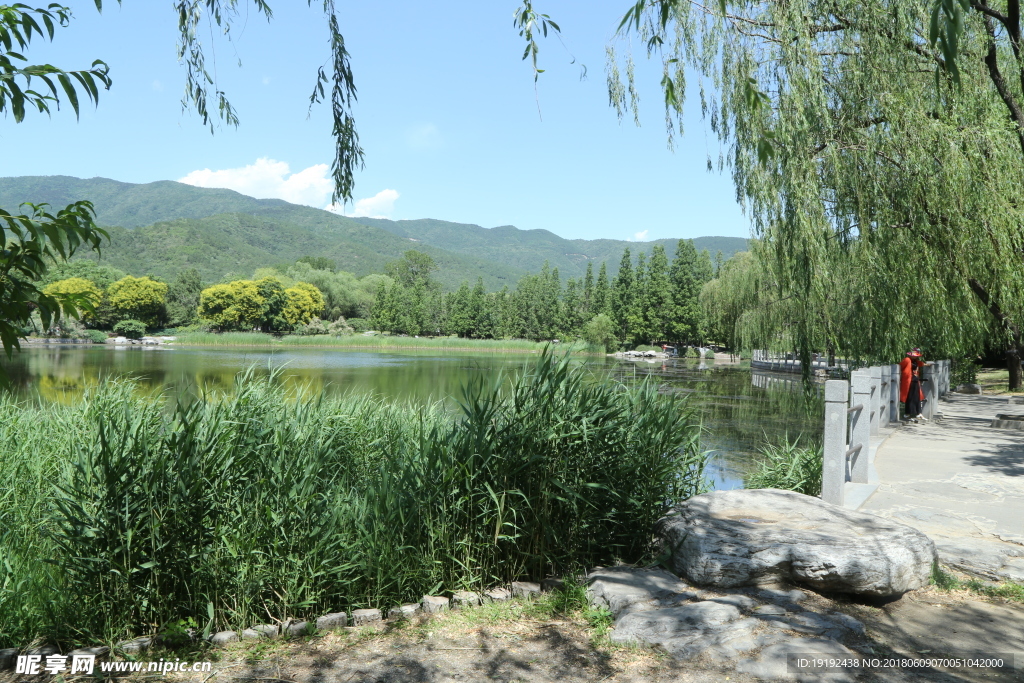 植物园风景