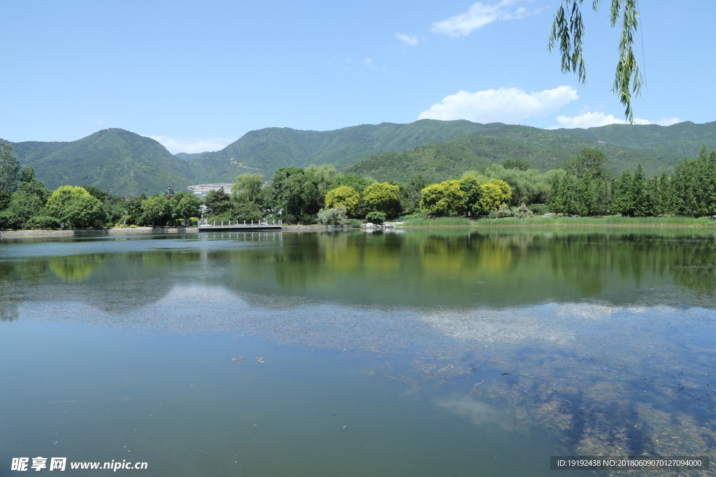植物园风景