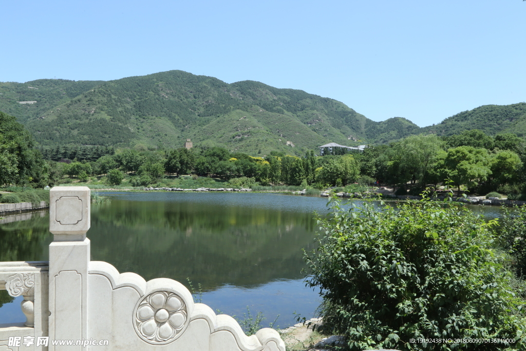 植物园风景