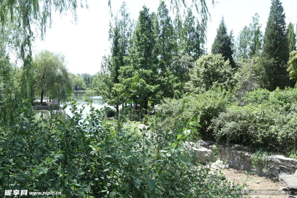 植物园风景