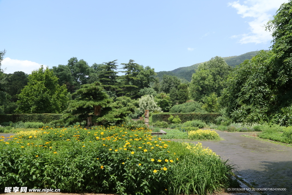 植物园风景
