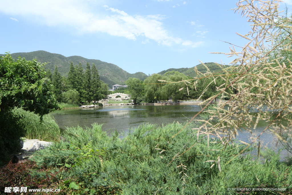 植物园风景