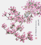 花鸟相伴