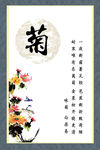 菊