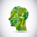 植物背景