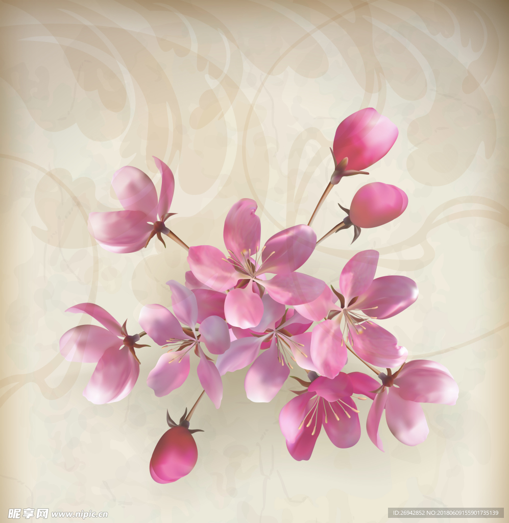 粉色花