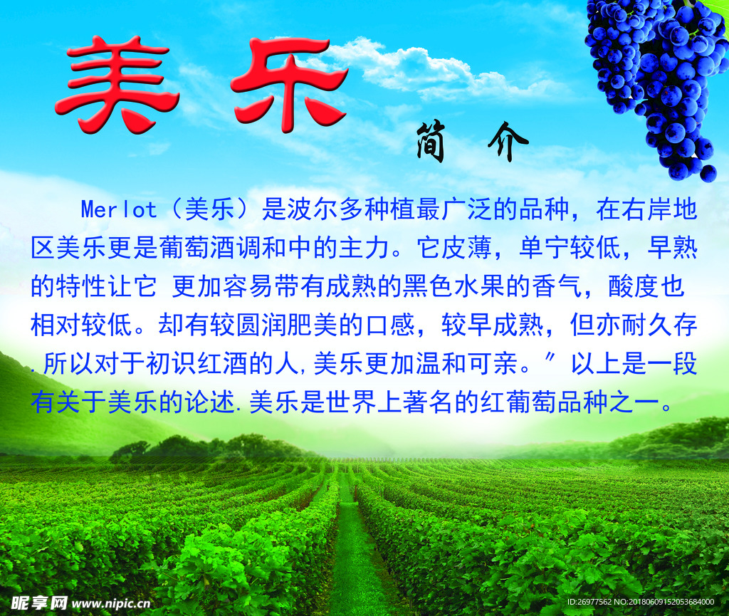 美乐简介