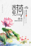 荷花