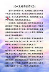 山上看日出作文