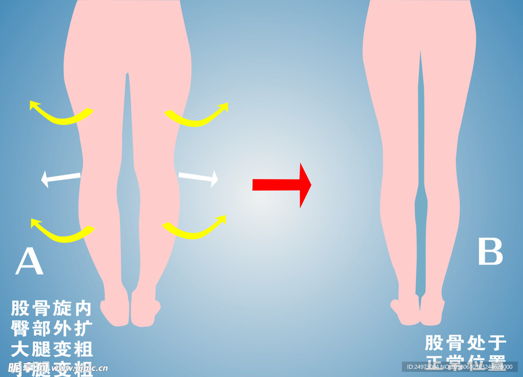 大腿小腿变细