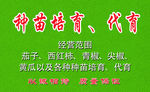 种苗 名片