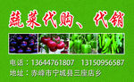 蔬菜店名片