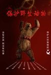 保护野生动物图片海报背景下载
