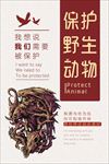 保护野生动物图片海报背景下载