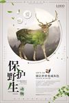 保护野生动物图片海报背景下载