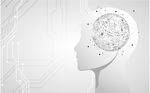 人工智能 头脑发达 AI