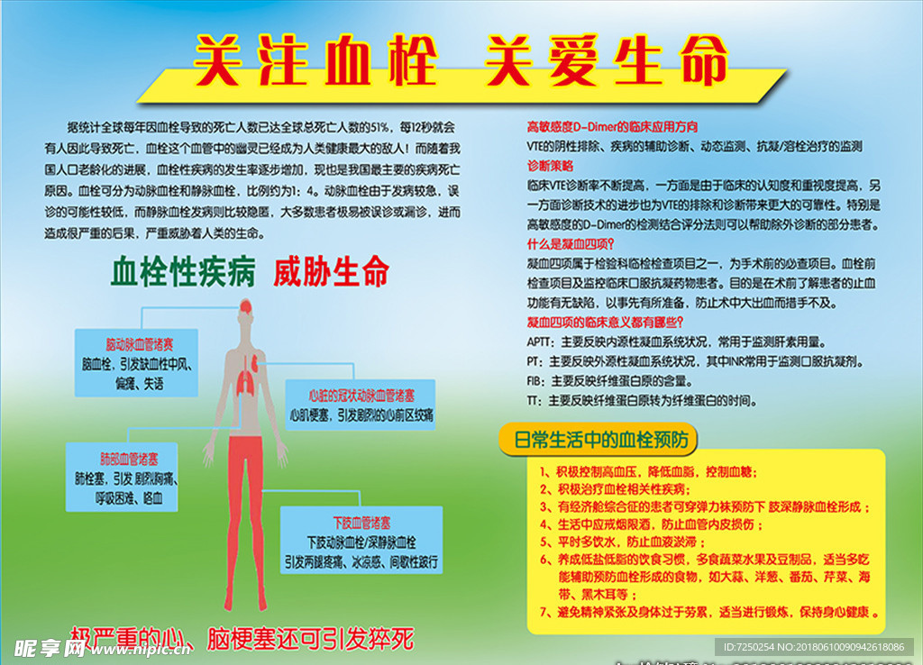 关注血栓 关爱生命