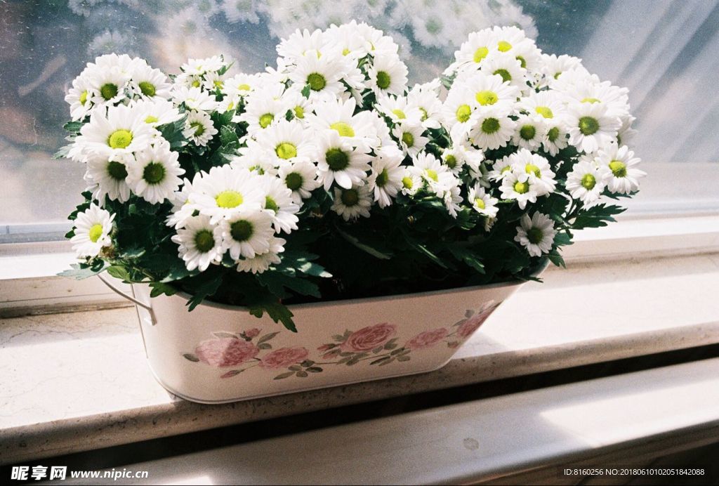 花