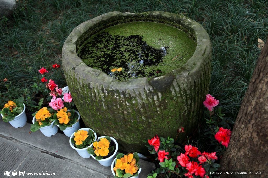 花