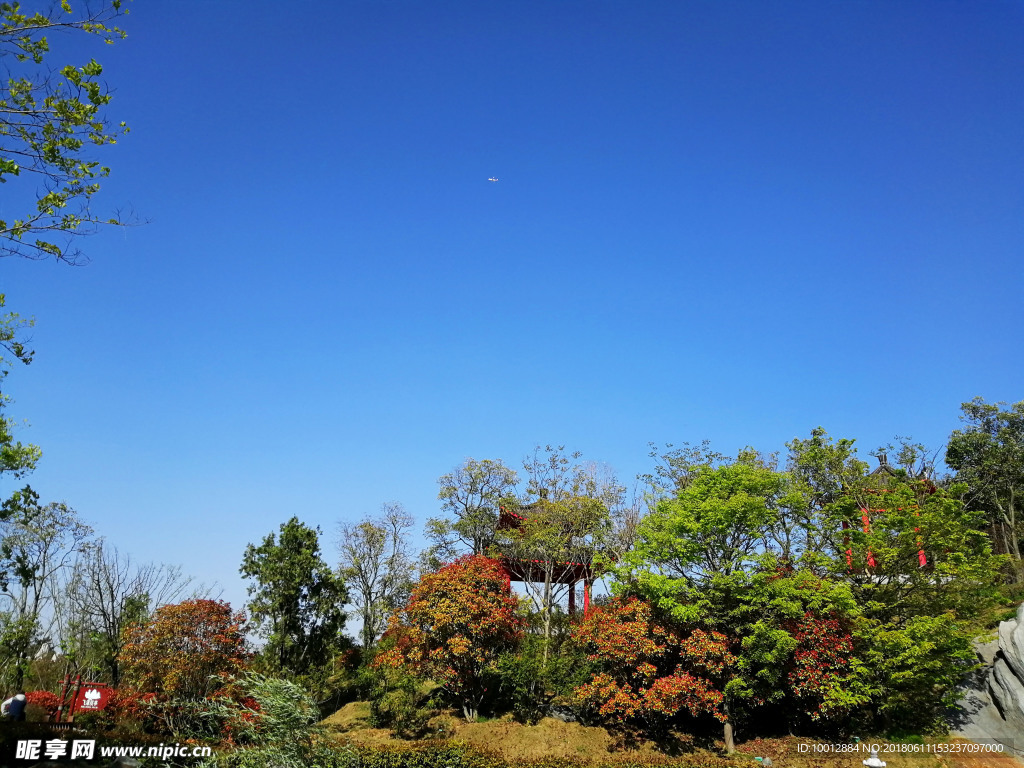风景