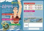 游泳宣传单