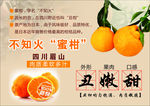 柑桔 蜜柑