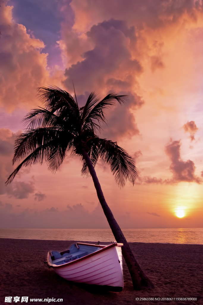 棕榈树 小船 海滩 日落