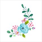 植物图片