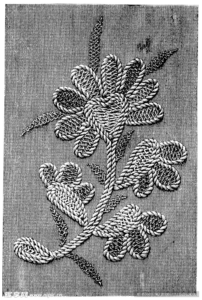 黑白竖纹
