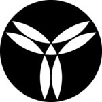 黑白圆纹