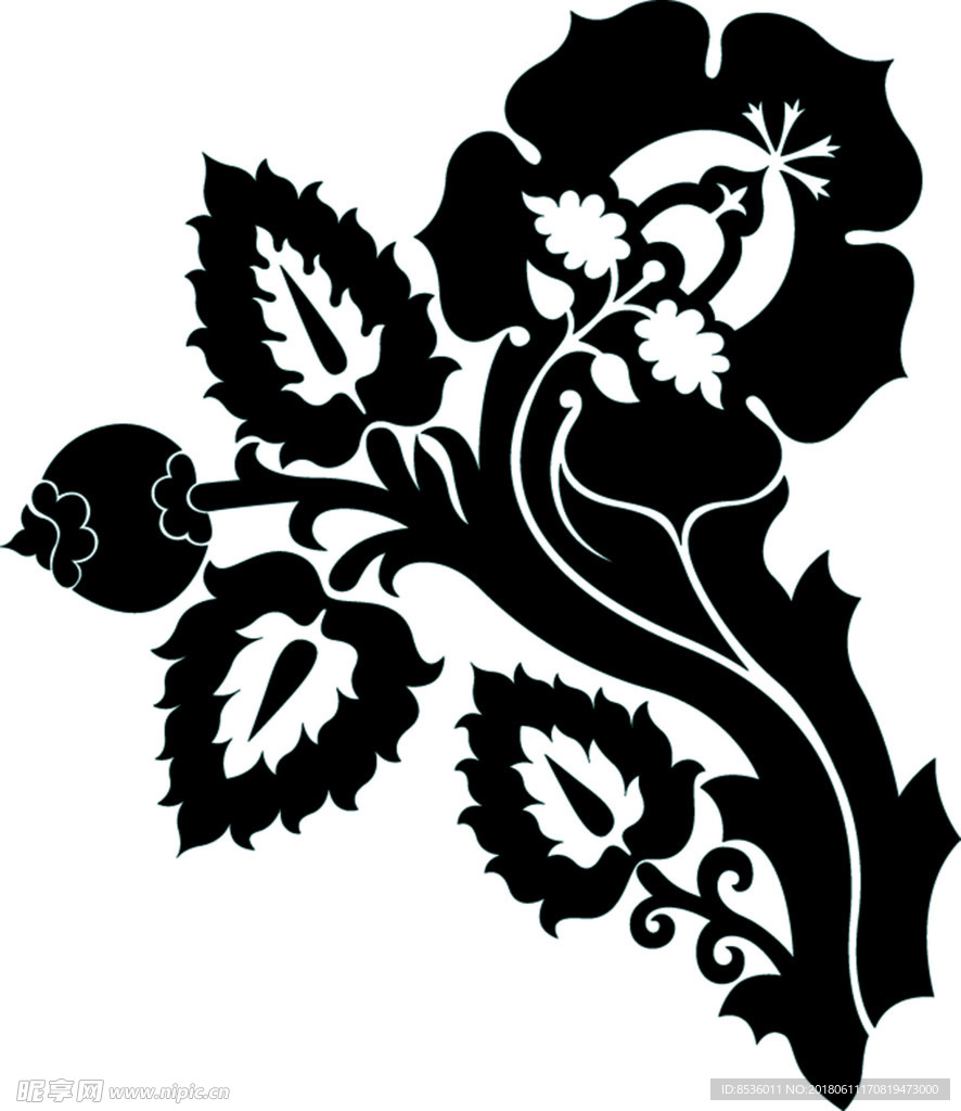 黑白花卉