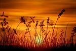 夕阳