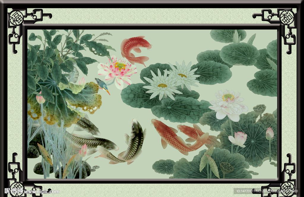 荷花鲤鱼图