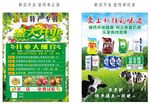 新疆干果