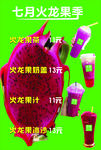 火龙果