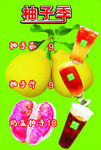 柚子茶