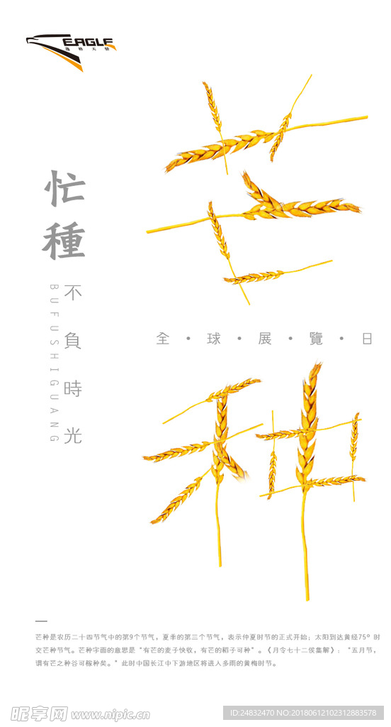 芒种