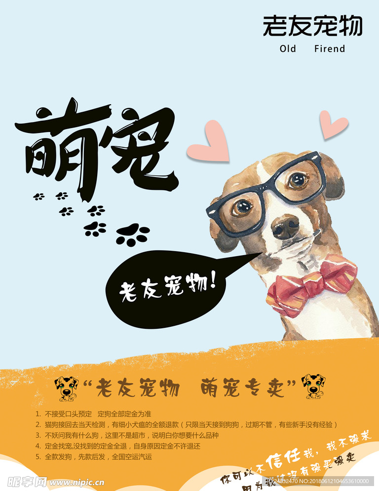 宠物宣传海报