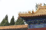 楼阁