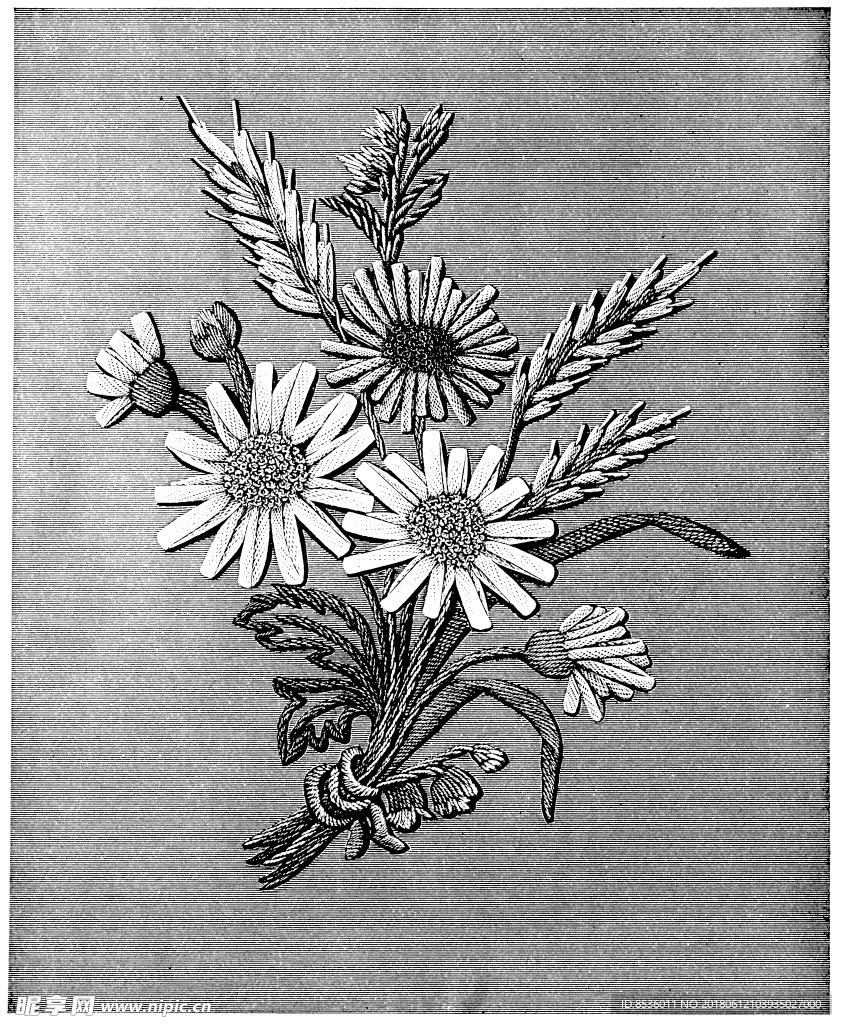 底纹花纹