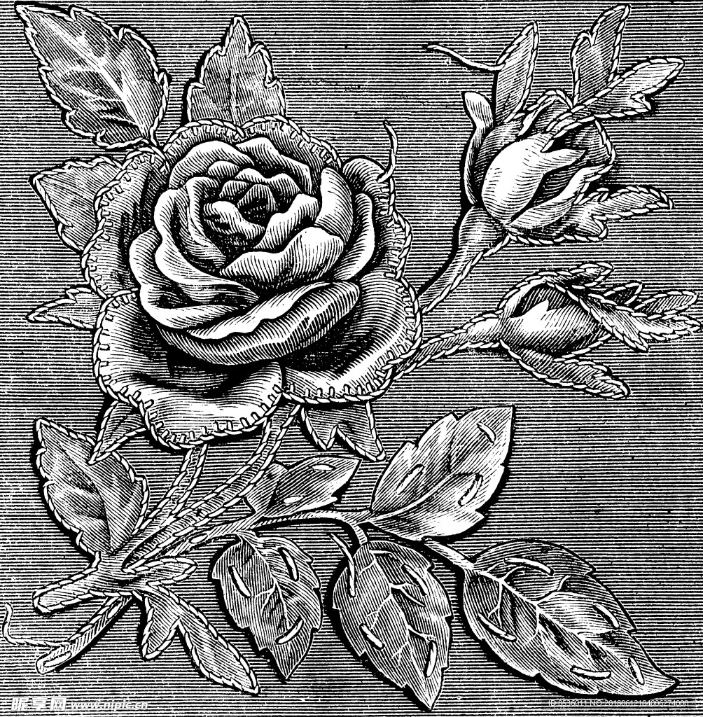 底纹花纹