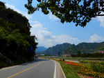 马路