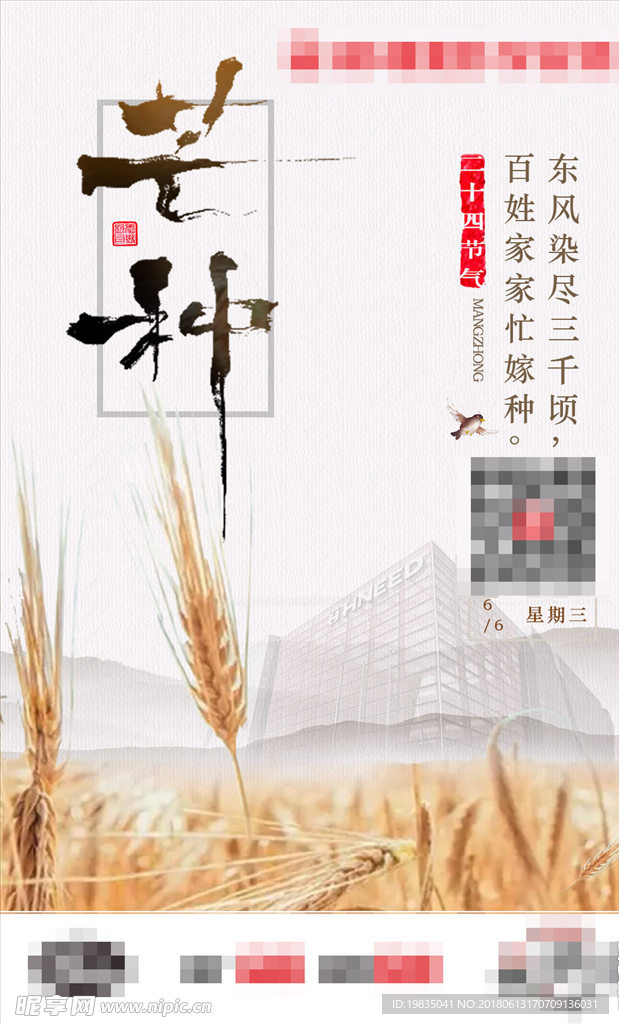 芒种