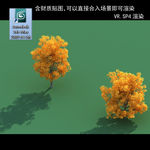 3D灌木模型 3D植物模型