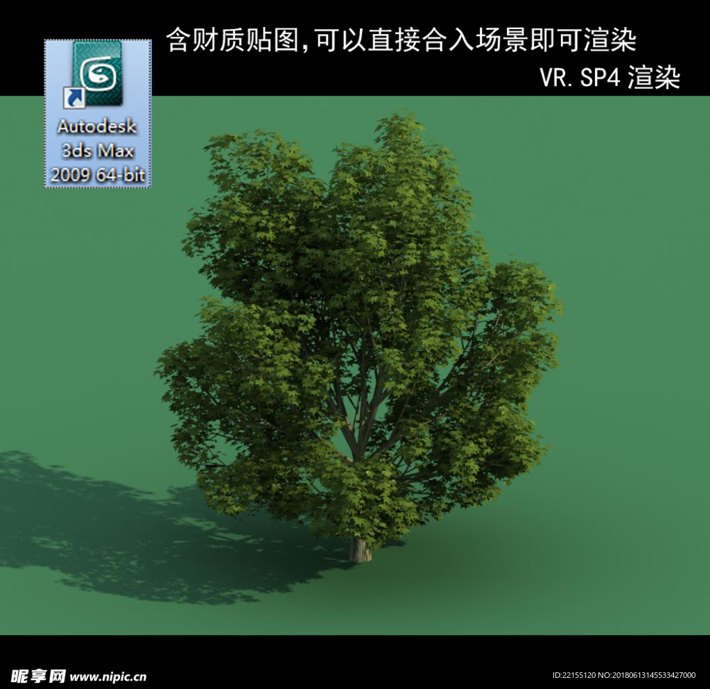 3D灌木模型 3D植物模型 绿