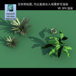3D灌木模型 3D植物模型
