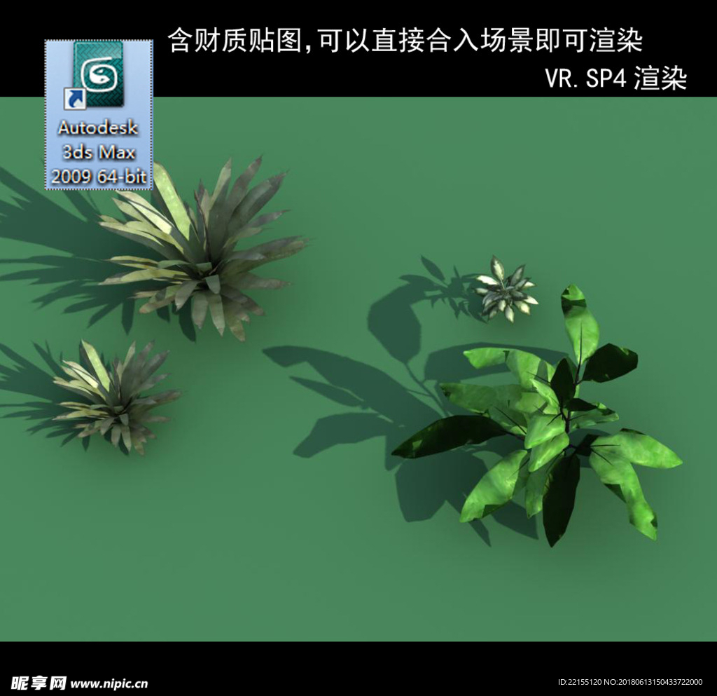 3D灌木模型 3D植物模型