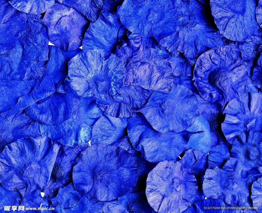 自然材质 蓝色花瓣
